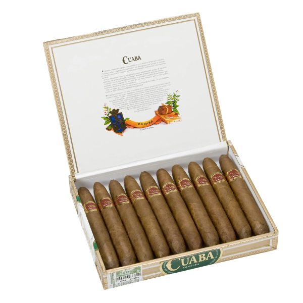 Cuaba Piramides EL 2008