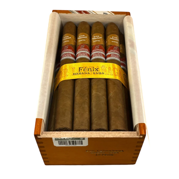 Por Larranaga Fenix RE Phoenicia 2021